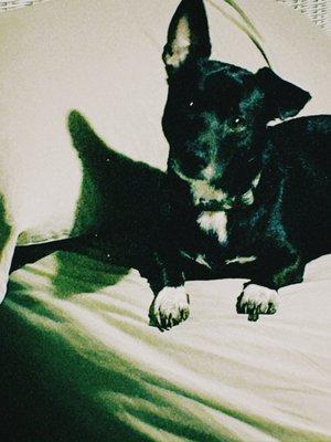 Photo of Crystal S.