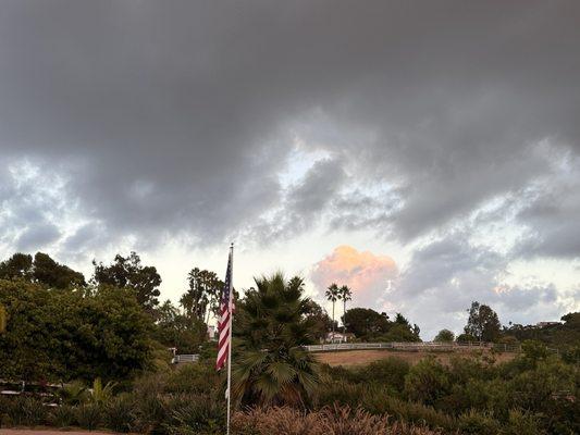 Photo of Lance K.