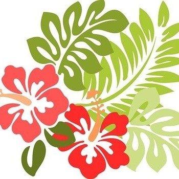 Photo of Striking F.