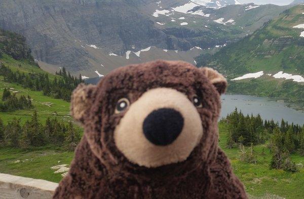 Photo of Udderbear K.
