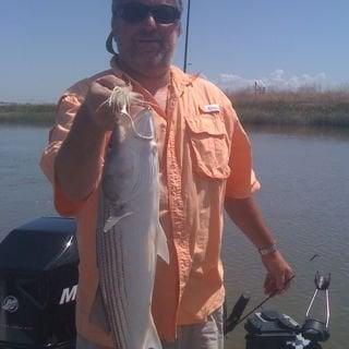 Photo of Mike N.