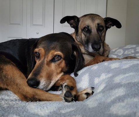 photo of Patricia B.