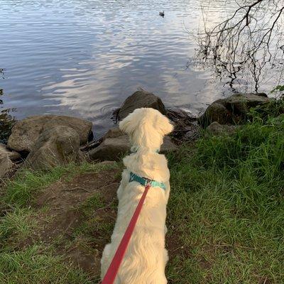 photo of Margaret O.