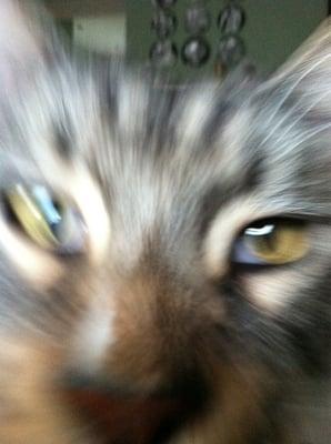 Photo of M P.