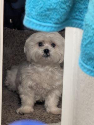 photo of Alexandria A.