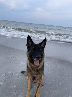 photo of Brandon C.