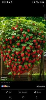 photo of Josselin P.