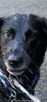 photo of Tugbuddy G.