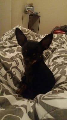 photo of Luz Jasmine A.