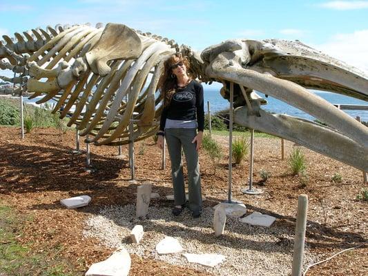 Photo of Stephanie M.