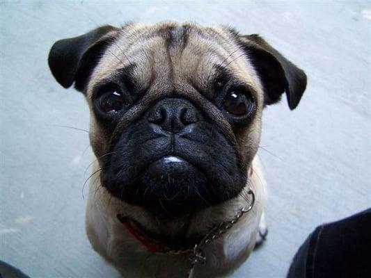 photo of Mary Lou B.