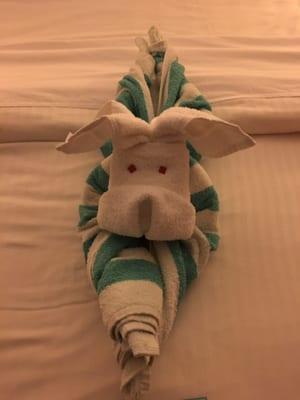 photo of Patricia M.