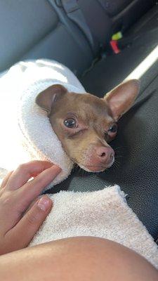 photo of Scarlett L.