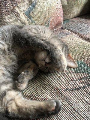 photo of Jennifer T.