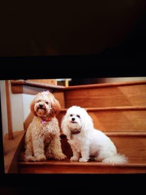 photo of Christina P.