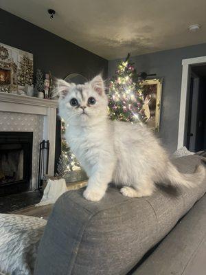 photo of Anastasia P.