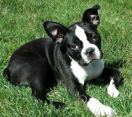 photo of Jennifer H.