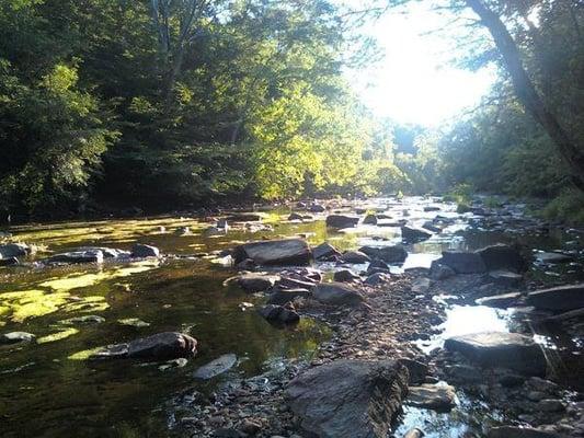 photo of Rosemary T.