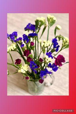 photo of Sanjukta D.