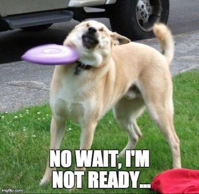 photo of Jeanette E.