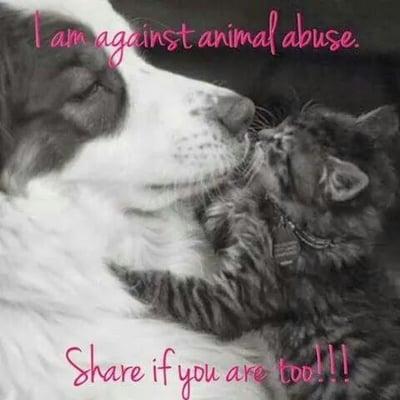 photo of Catherine F.