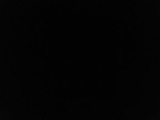 Photo of Alondra O.