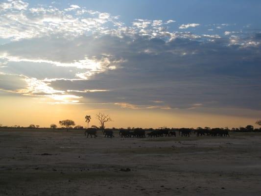 photo of Courtney K.