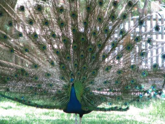 photo of Christelle H.