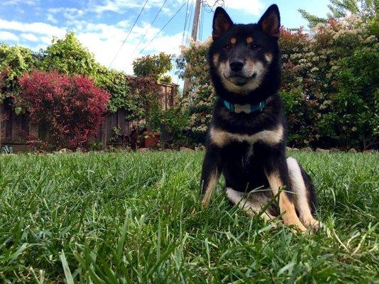 Photo of Keiko Q.