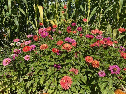 photo of Jennifer L.