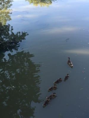 photo of Jenny Eun-jin K.