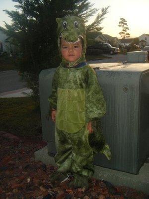 photo of Weird But A.