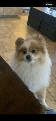 Photo of Evan S.