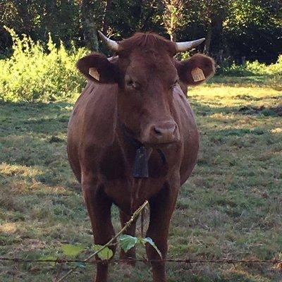 photo of Christine Z.