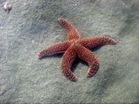 Photo of Merrily C.