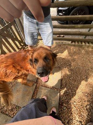 photo of Annalise H.