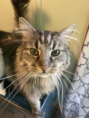 photo of Stephanie M.