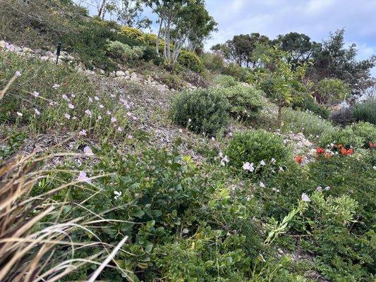 photo of Nokuthula N.