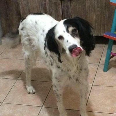 Photo of Patricia H.