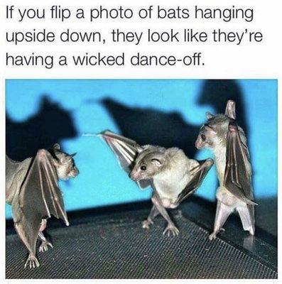 Photo of Gretchen O.