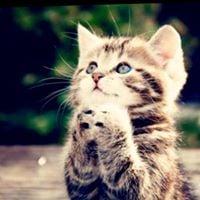 photo of SaraLynn S.