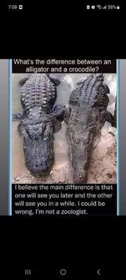 photo of Alejandro D.