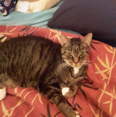 photo of Jonathan P.