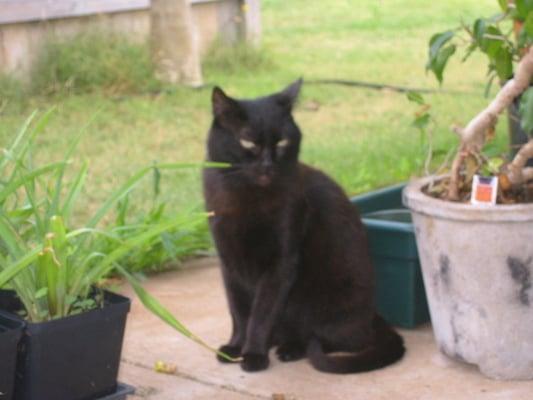 photo of RoscoeVchic K.