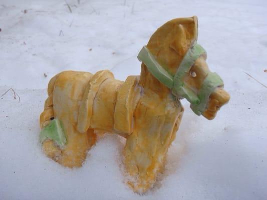 photo of Jennifer M.