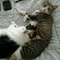 photo of Patricia C.