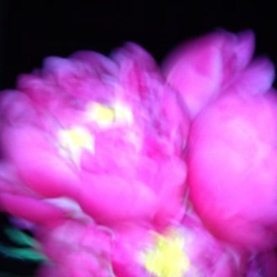 photo of Kristina G.