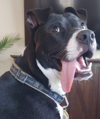 photo of Michael Richardson