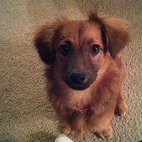 photo of Catherine Renee O.