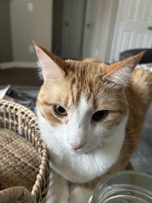 photo of Patricia C.